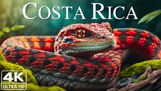Costa Rica 4k - Relaxing Music With Beautiful Natural Landscape - Amazing Nature