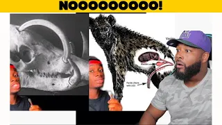 Animals that Got the Middle Finger from Evolution | REACTION