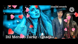 Dil Mera Jo Tarke - Dhadkan | Lofi| Slowe Reverb