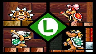 Super Mario Advance 4 All Bosses - No Damage (Luigi)