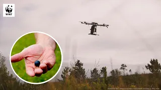 How Tree Planting Drones Work | WWF-Australia