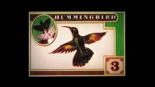 Hummingbird - I Don't Know Why I Love You