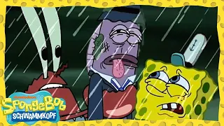 SpongeBob| 5-Minuten-Episoden | Die böse Patty | SpongeBob Schwammkopf