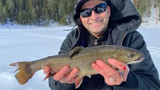 Ice Fishing for BROOKTROUT in Washington;  Catch & Cook Brooktrout.