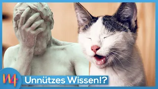 Unnützes Wissen in 1 Minute (Teil 3) 🤣💡 | Wissen4Free