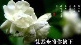 茉莉花 原唱宋祖英