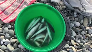 Адлер 3 декабря 2017г // Морская  любительская рыбалка в Сочи