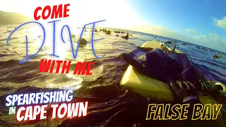 Come Spearfishing With Me On My Birthday! | Cape Town Spearfishing, False Bay