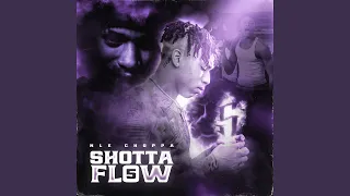 Shotta Flow 5