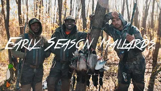 Duck Hunting - 24.7Hunt - Szn 3 Ep. 2 - Early Season Mallards