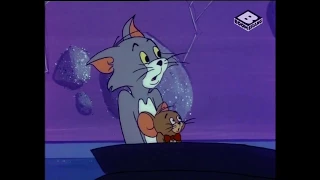 Tom and Jerry  Phim Hoạt Hình Lồng Tiếng Việt