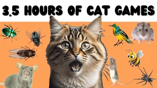 Cat Games Compilation - More than 3 HOURS the best games - Mice, bugs, flies, spiders...