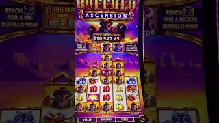 Massive handpay on 10 dollar bet buffalo ascension slot machine