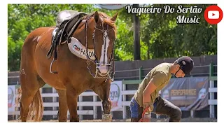 E o Boi E o Cavalo / Nossa Fazenda - Ramom E Randinho (Vaqueiro Do Sertão Music)