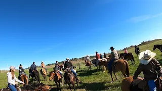 Dice Branding 5-11-24 (SE Montana, horses, calf wrestling, roping)