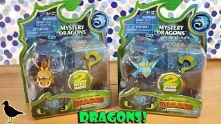 How To Train Your Dragon The Hidden World Mystery Dragons Toy Opening! | Birdew Reviews