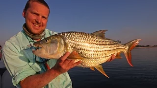 Tigerfishing - Upper Zambezi River - Zambia