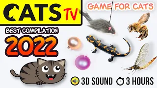 GAME FOR CATS - BEST 2023 Cats TV compilation 🦎🪩🐭 [60fps] 3 HOURS