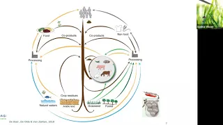 Moving Towards Circular Agriculture: Lessons from The Netherlands