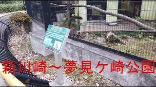 新川崎から夢見ヶ崎へ  2021 古墳と動物園   Shin-kawasaki and Yumemigasaki