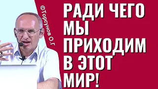 Ради чего мы приходим в этот мир! Торсунов лекции