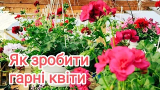 Як я досягаю того, щоб квіти були найкращі 😉