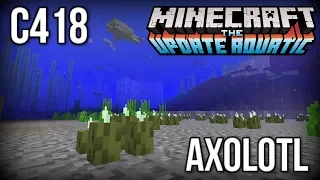 C418 - Axolotl (Minecraft 1.13/Update Aquatic)