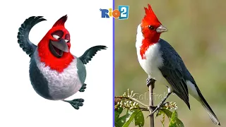 Rio 2 Characters In Real Life 👉@SolTrek