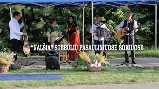 "NALŠIA" PASAULINIUOSE STEBULIŲ ŠOKIUOSE 23 08 19