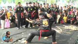 Pencak Silat Cakra Buana | Kotatua, Jakarta 2012 (2/2)