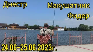 Днестр.Рыбалка на макушатники 24.06-25.06.2023г.Старый порт подтопило.#днестр #рыбалка #макушатник