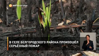 В селе Белгородского района произошёл серьёзный пожар