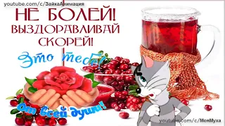 ВЫЗДОРАВЛИВАЙ И НЕ БОЛЕЙ!