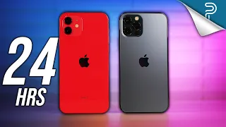 24 Hours With Apple's iPhone 12 & iPhone 12 Pro: Ouch!