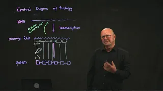 Central Dogma