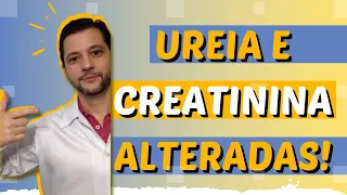 Ureia e creatinina alteradas em cães e gatos, o que isso significa?