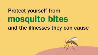 Protect Yourself from Mosquitoes and Ticks – Animation :15