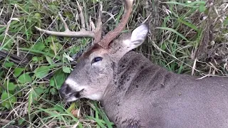 2018 Missouri Rifle Buck 10 pt