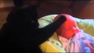 Кошка успокаивает плачущего ребенка! Cat soothes crying baby!
