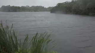 Sarasota Walk in Hurricane Ian at Red Bug Slough (Wednesday, September 28th, 2022)