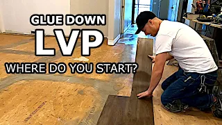 How to Layout and Start the First Rows of Glue Down Luxury Vinyl Plank