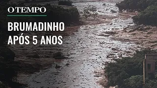 Tragédia em Brumadinho: minutos que já duram 5 anos