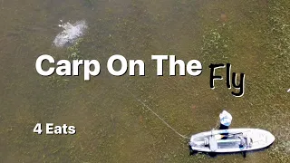 4 Eats - Fly Fishing for Carp - Carp on the Fly