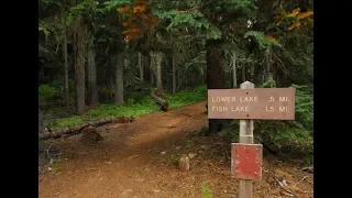 The Bigfoot Of Fish Lake, Oregon - A Scary Night Camping Alone!