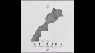 Avicii | We Burn (Faster Than Light) | with Sandro Cavazza | [HCHM Remake]