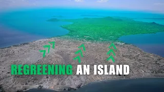 Man Is Bringing Back Native Forest To His Island