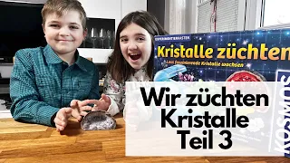 Wir züchten farbige Kristalle - Wie geht das? mit Kosmos - Experimentieren mit den Winnies