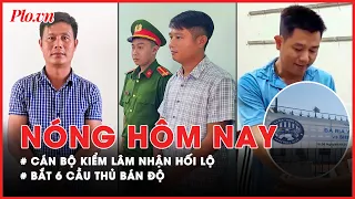 Nóng hôm nay: Phía sau việc cán bộ kiểm lâm ở TP Phú Quốc đầu thú, khai nhận hối lộ