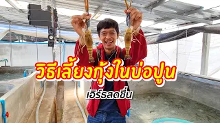 วิธีเพาะเลี้ยงกุ้งก้ามกรามในบ่อปูน   สร้างรายได้เดือนละ 5 แสน | เอิร์ธสดชื่น