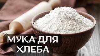 Мука для выпечки! Поехала по магазинам выбирать муку!